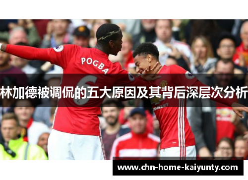 林加德被调侃的五大原因及其背后深层次分析 林加德被调侃的五大原因及其背后深层次分析