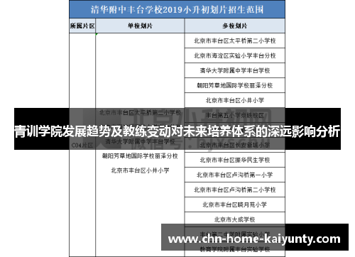 青训学院发展趋势及教练变动对未来培养体系的深远影响分析 青训学院发展趋势及教练变动对未来培养体系的深远影响分析