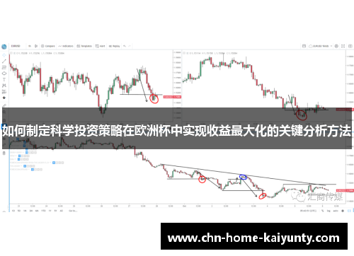 如何制定科学投资策略在欧洲杯中实现收益最大化的关键分析方法