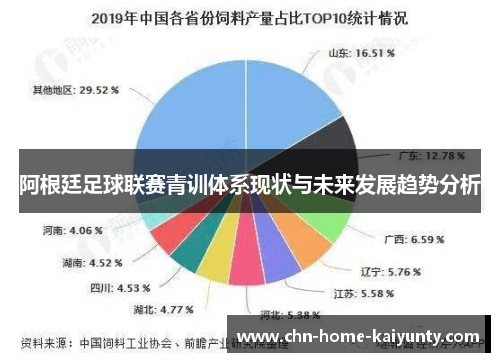 阿根廷足球联赛青训体系现状与未来发展趋势分析 阿根廷足球联赛青训体系现状与未来发展趋势分析
