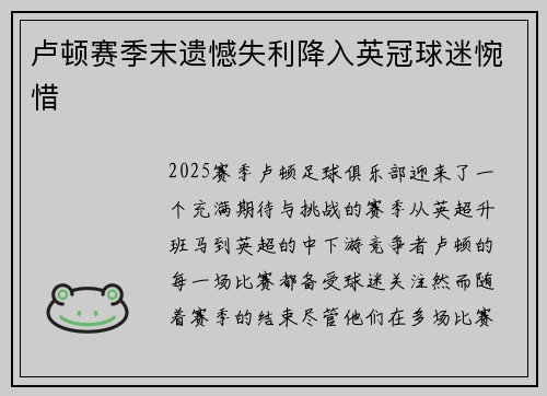 卢顿赛季末遗憾失利降入英冠球迷惋惜 卢顿赛季末遗憾失利降入英冠球迷惋惜