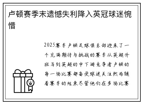 卢顿赛季末遗憾失利降入英冠球迷惋惜